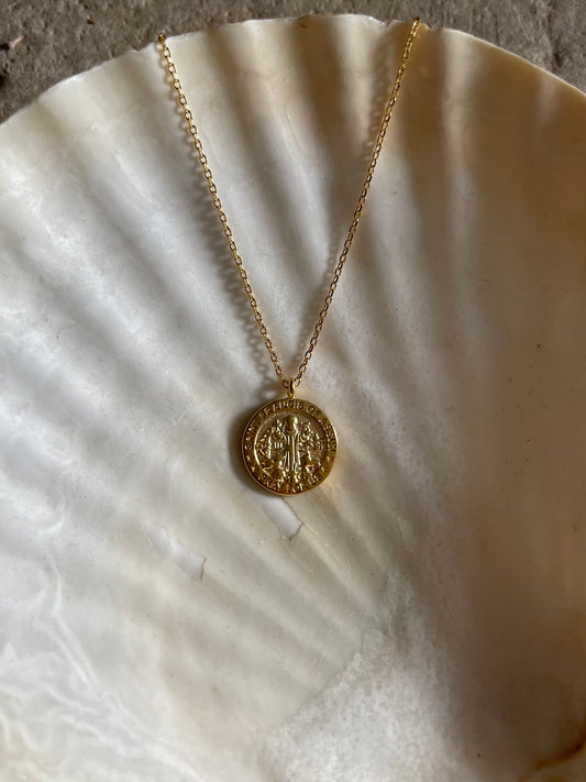 Saint Francis Necklace